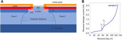 Ion Microbeam Studies of Charge Transport in Semiconductor Radiation Detectors With Three-Dimensional Structures: An Example of LGAD